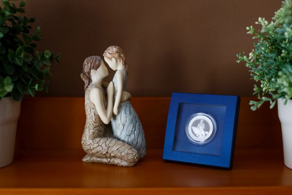 Praktick&aacute; krabička pro vystaven&iacute;