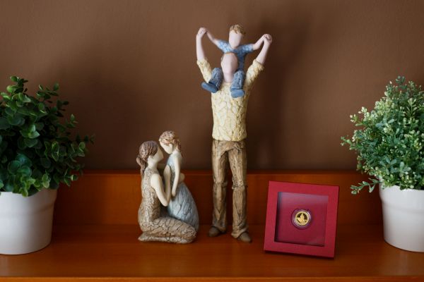 Praktick&aacute; etue pro vystaven&iacute;